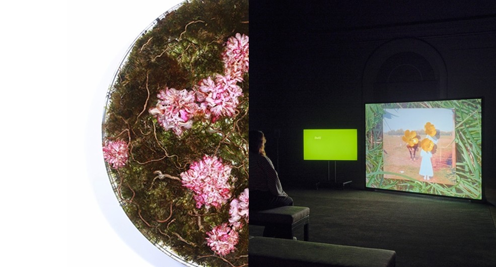 Winners of the 2025 Golden Fleece Award Announced