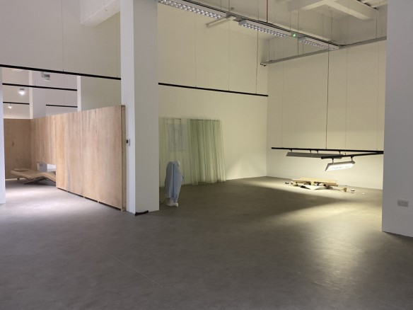 Áine Mac Giolla Bhríde