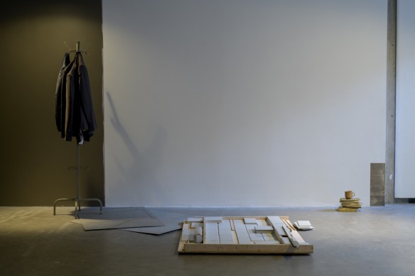 Áine Mac Giolla Bhríde